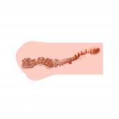 Мастурбатор-вагина Monica без вибрации - KOKOS - в Керчи купить с доставкой