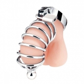 Серебристая клетка для члена Urethral Play Cage - BlueLine - купить с доставкой в Керчи