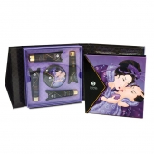 Подарочный набор Geishas secret из 5 предметов - Shunga - купить с доставкой в Керчи