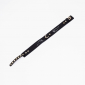 Черный кожаный ошейник с золотистой фурнитурой - Crazy Handmade - купить с доставкой в Керчи