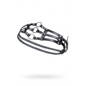 Черный кожаный пояс с кольцами - Pecado - купить с доставкой в Керчи