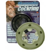 Эрекционное кольцо с магнитиками - Seven Creations - в Керчи купить с доставкой