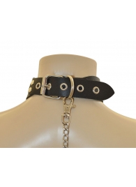 Ошейник  Веселый Роджер - Sitabella - купить с доставкой в Керчи