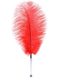 Красное страусовое пёрышко - ToyFa - купить с доставкой в Керчи