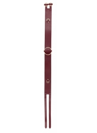 Бордовый ремень Halo Waist Belt - размер L-XL - Shots Media BV - купить с доставкой в Керчи