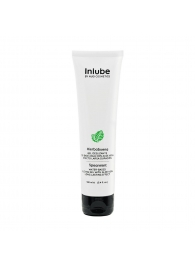 Водный лубрикант Nuei Inlube с алоэ вера и ароматом мяты - 100 мл. - Nuei cosmetics - купить с доставкой в Керчи