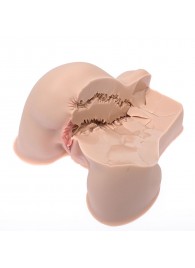 Мастурбатор-полуторс Naked Factory Kate - Naked Factory - в Керчи купить с доставкой