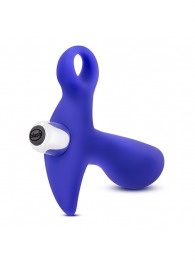 Синий стимулятор простаты с ручкой-кольцом Performance Prostimulator 02 - Blush Novelties - в Керчи купить с доставкой