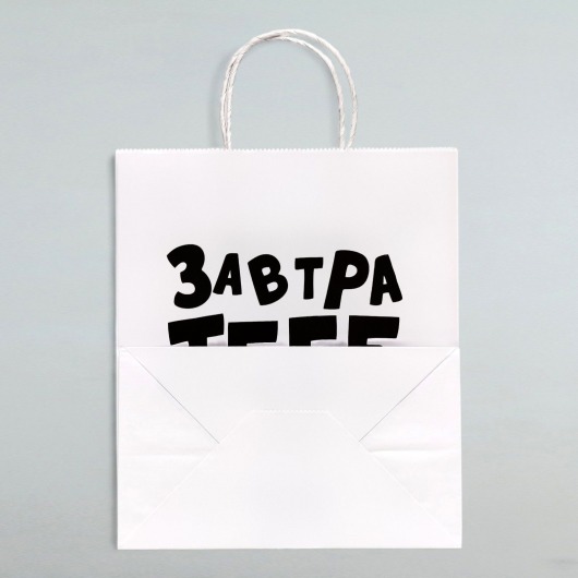 Подарочный пакет  Завтра тебе будет стыдно  - 30 х 24 см. - UPAK LAND - купить с доставкой в Керчи