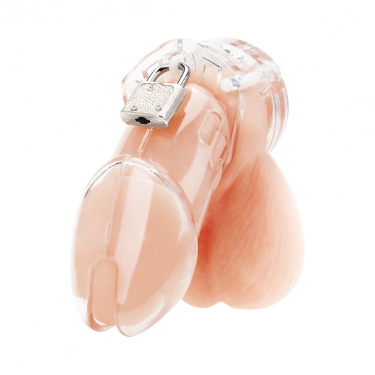 Прозрачная клетка целомудрия Acrylic See-thru Chastity Cage - BlueLine - купить с доставкой в Керчи