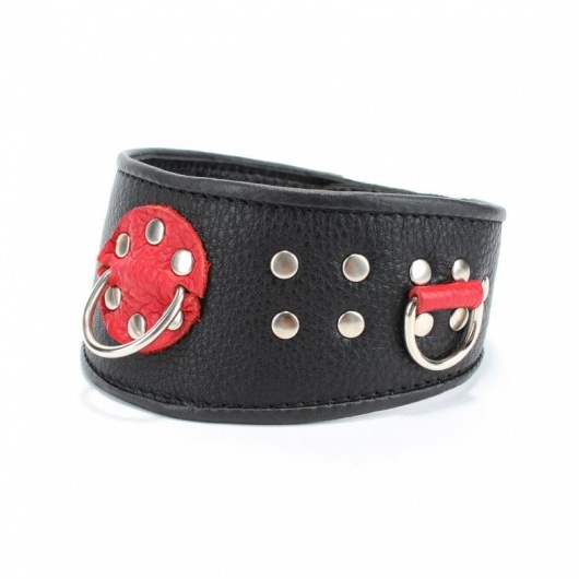 Кожаный ошейник с клепками и кольцами - БДСМ Арсенал - купить с доставкой в Керчи