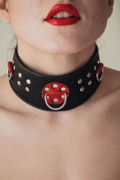 Кожаный ошейник с клепками и кольцами - БДСМ Арсенал - купить с доставкой в Керчи