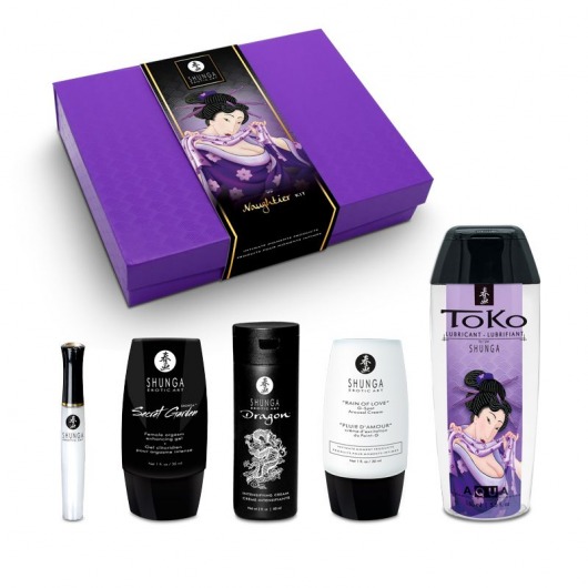 Подарочный набор Naughter Kit - Shunga - купить с доставкой в Керчи