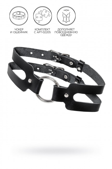 Черный кожаный чокер-ошейник из двух ремешков - Pecado - купить с доставкой в Керчи