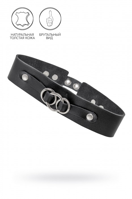 Черный чокер-ошейник со связанными кольцами на подложке - Pecado - купить с доставкой в Керчи
