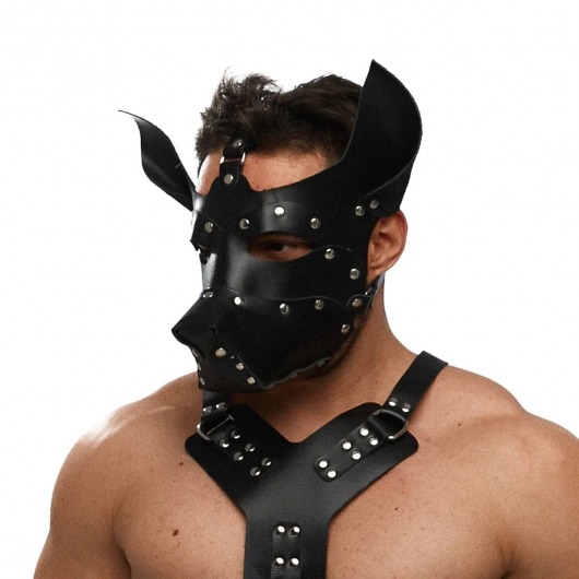Черная кожаная маска «Собака» - Crazy Handmade - купить с доставкой в Керчи