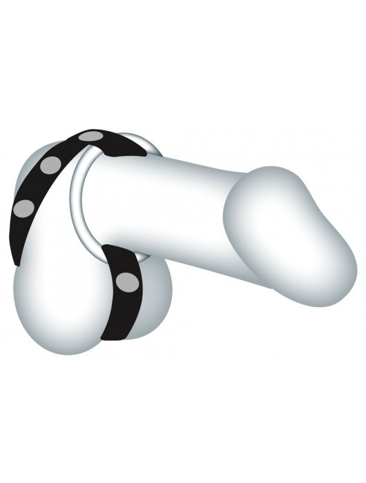 Подхват для мошонки с 3 съемными эрекционными кольцами Leder-Riemen - Orion - в Керчи купить с доставкой