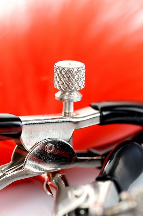 Зажимы для сосков с красным пухом Theatre - ToyFa - купить с доставкой в Керчи