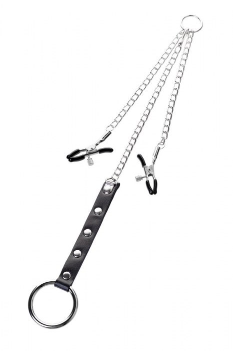 Серебристо-чёрные зажимы для сосков с кольцом для пениса TOYFA Metal - ToyFa - купить с доставкой в Керчи